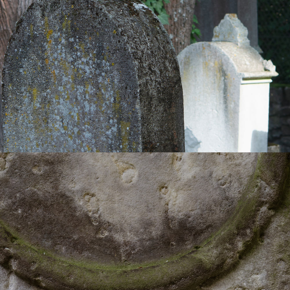 Schalom  - שלום  -    Frieden -  السلام  -  мир -   和平 -   peace -  mír