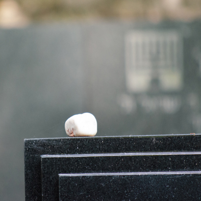 Jüdischer Friedhof Regensburg 2024